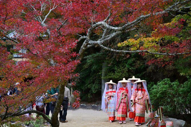 4 Hour Miyajima PRIVATE Tour - Tahōtō Pagoda and Momijidani Park: The Calmer Miyajima