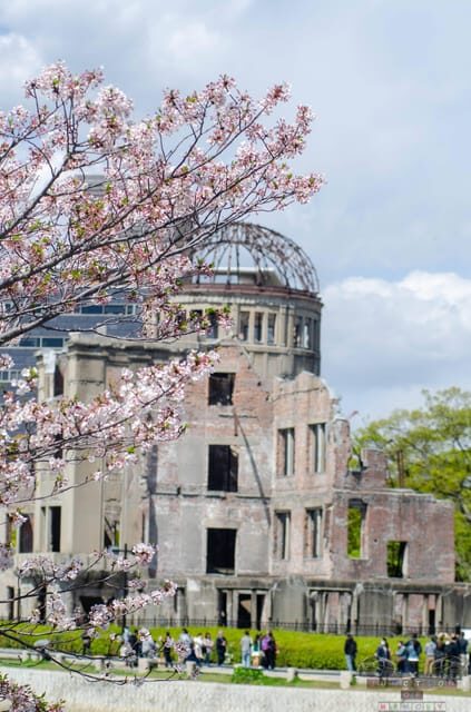 Amazing Hiroshima: Private City Tour with a Local Guide - Key points worth knowing before you book