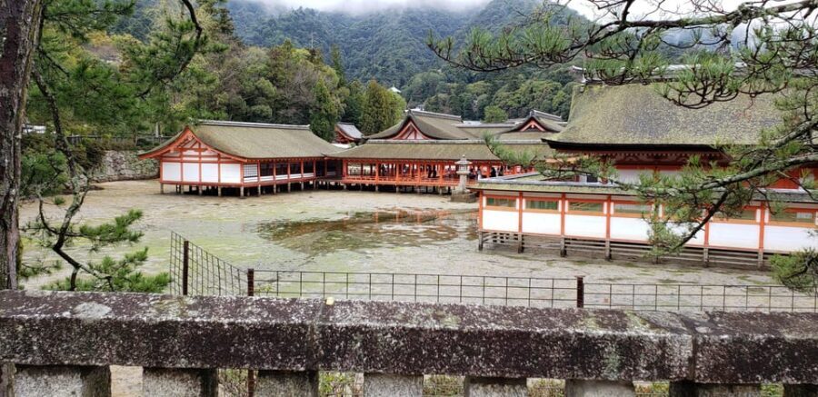 Amazing Hiroshima: Private City Tour with a Local Guide - What to eat, buy, and do in Miyajima without losing your day