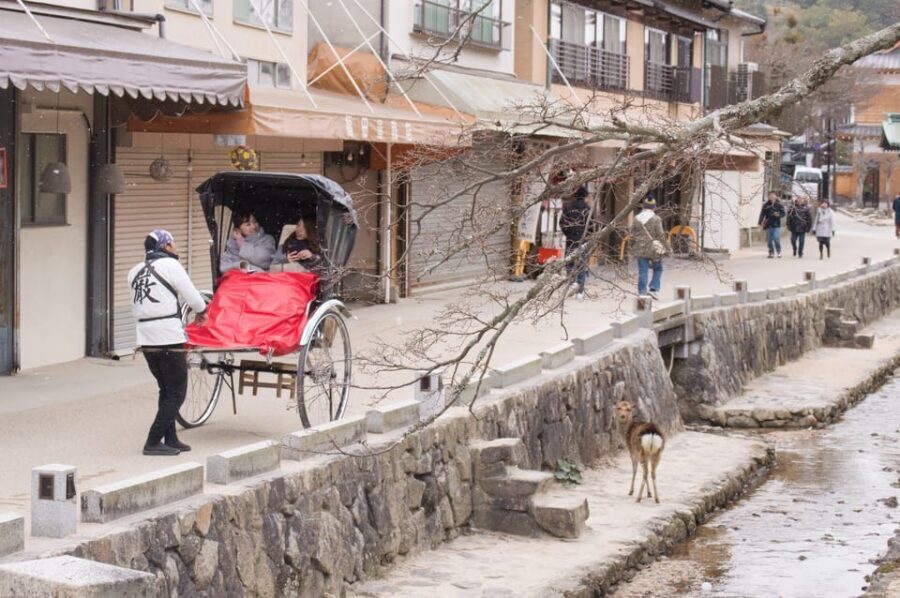Amazing Hiroshima: Private City Tour with a Local Guide - Price and value: is $129 fair for what you get?