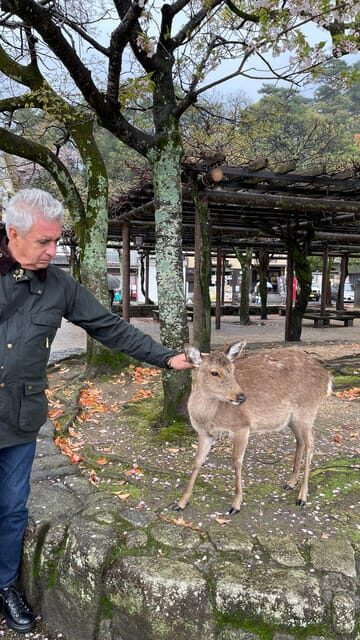 Amazing Hiroshima: Private City Tour with a Local Guide - Should you book this private Hiroshima and Miyajima tour?