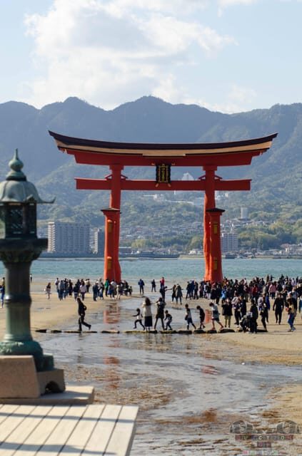 Amazing Hiroshima: Private City Tour with a Local Guide - Peace Memorial Park, the Dome, and the museum: what to watch for