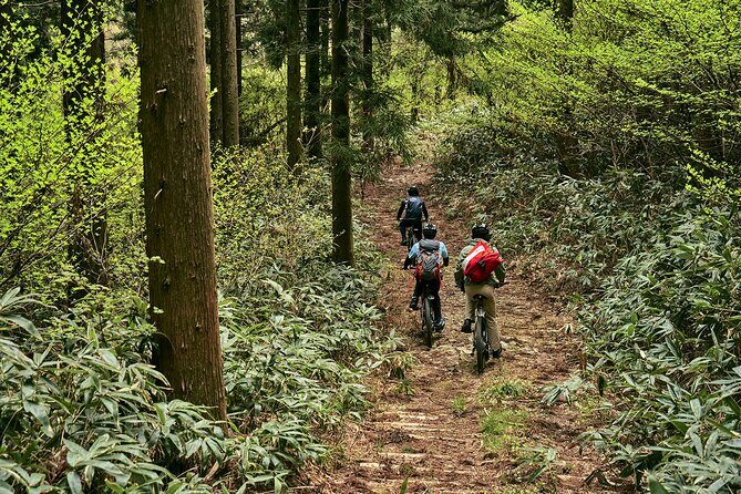 eMTB tour to see the beautiful islands from the summit - What Mt. Omine feels like at the top (and how long it takes)