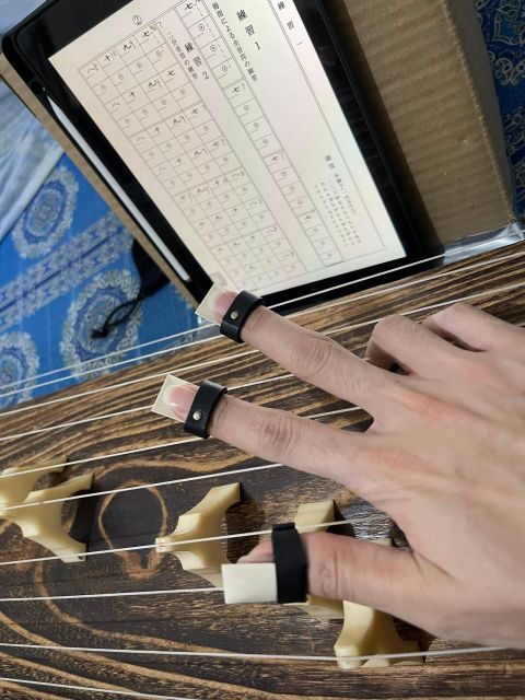 Experience the Soul of Hiroshima: A Peaceful Koto Workshop - The 90-minute flow: koto basics to a complete piece