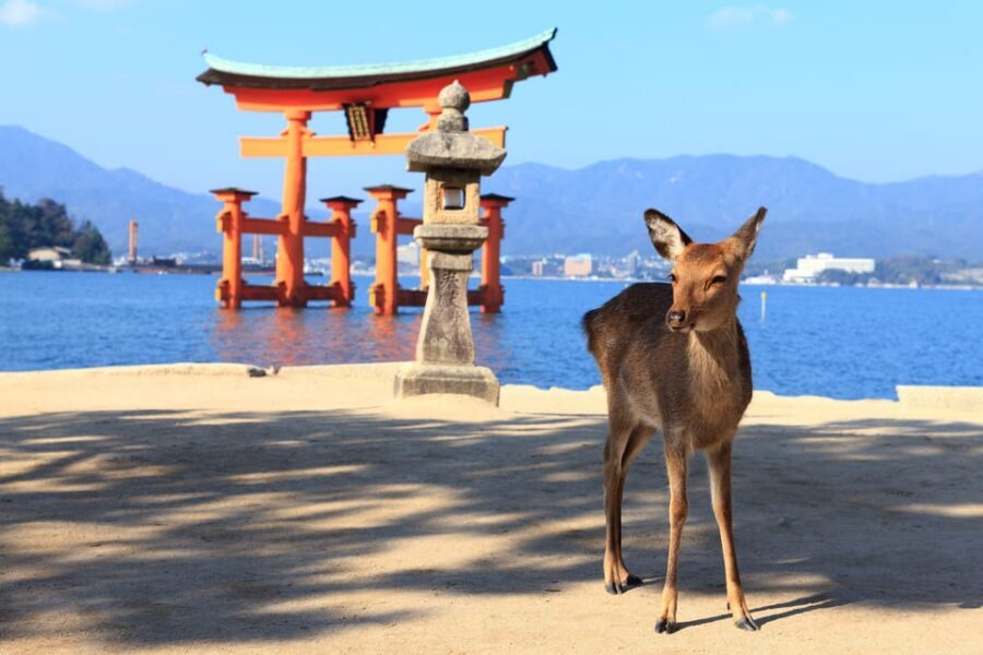 From Hiroshima: Hiroshima & Miyajima 1 Day Tour with Lunch - Hiroshima Bay ferry to Miyajima: the ride that changes the vibe