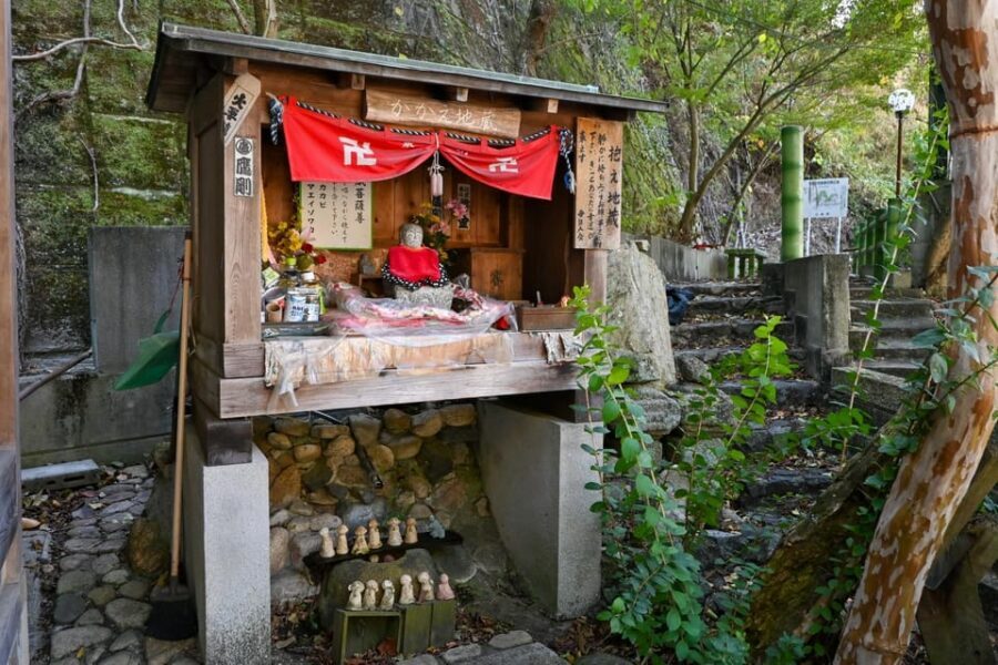 From Hiroshima: Rabbit Island and Takehara Town Tour - Lunch, food, and what you should bring for the day