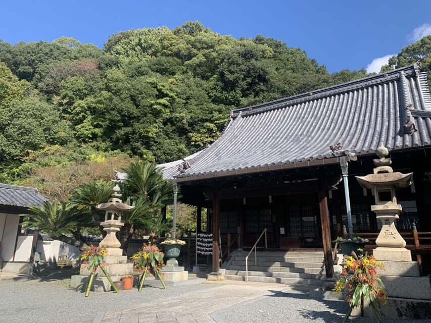 From Hiroshima: Rabbit Island and Takehara Town Tour - Price and value: what $170 buys you (and what it doesn’t)