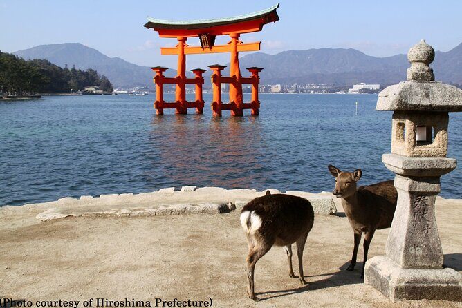 Full Day Hiroshima and Miyajima Bus Tour from Hiroshima - Guide quality and group logistics: where experiences can vary
