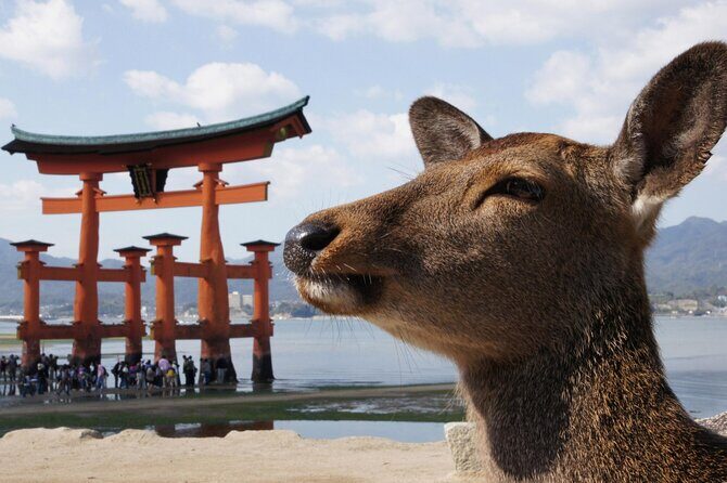 Hiroshima and Miyajima Bus Tour with Indian Lunch - Hiroshima Station to the Atomic Bomb Dome Area: Straight to the Point
