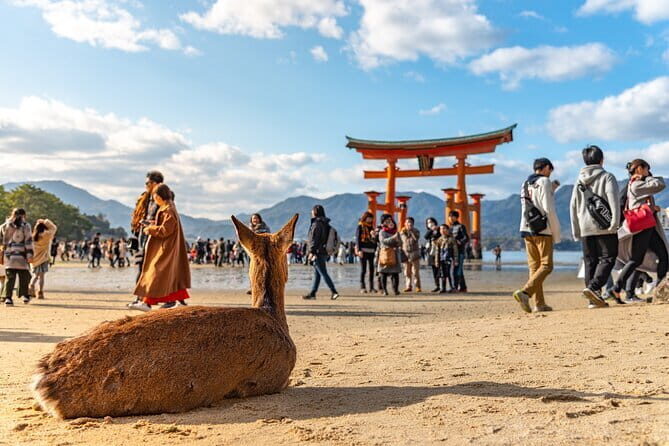 Hiroshima and Miyajima Day Trip with Itsukushima Shrine & Ferry - Key things that make this trip worth your time