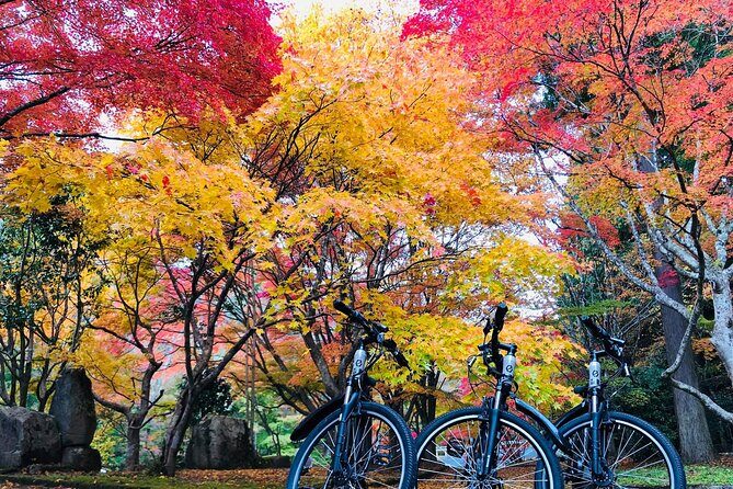 Hiroshima Country Cycling: Explore Rural Life 1 HR from City - Hiroshima countryside on an e-bike: why Oasa works