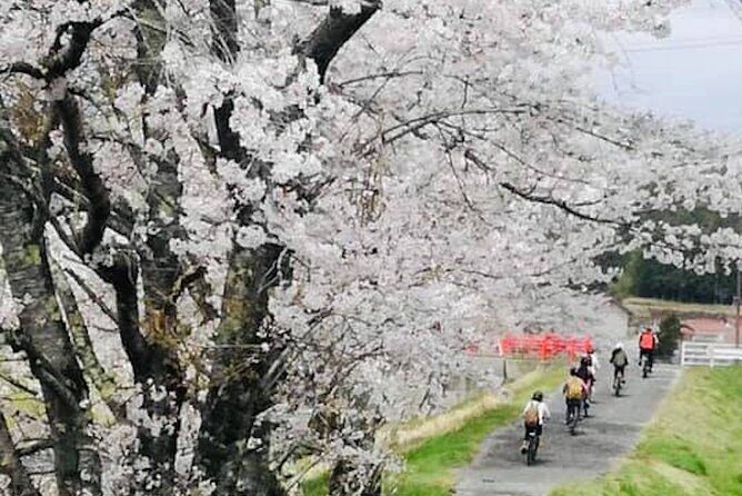 Hiroshima Country Cycling: Explore Rural Life 1 HR from City - Timing and how the day feels in motion