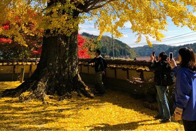 Hiroshima Country Cycling: Explore Rural Life 1 HR from City - Who should book this and who should pass