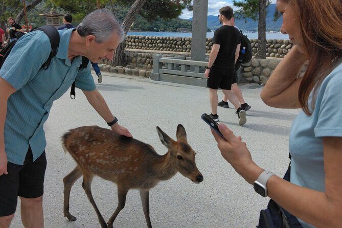 Hiroshima Cruise Pickup : Miyajima & Peace Park Tour with car - Should You Book This Hiroshima Cruise Pickup Tour?