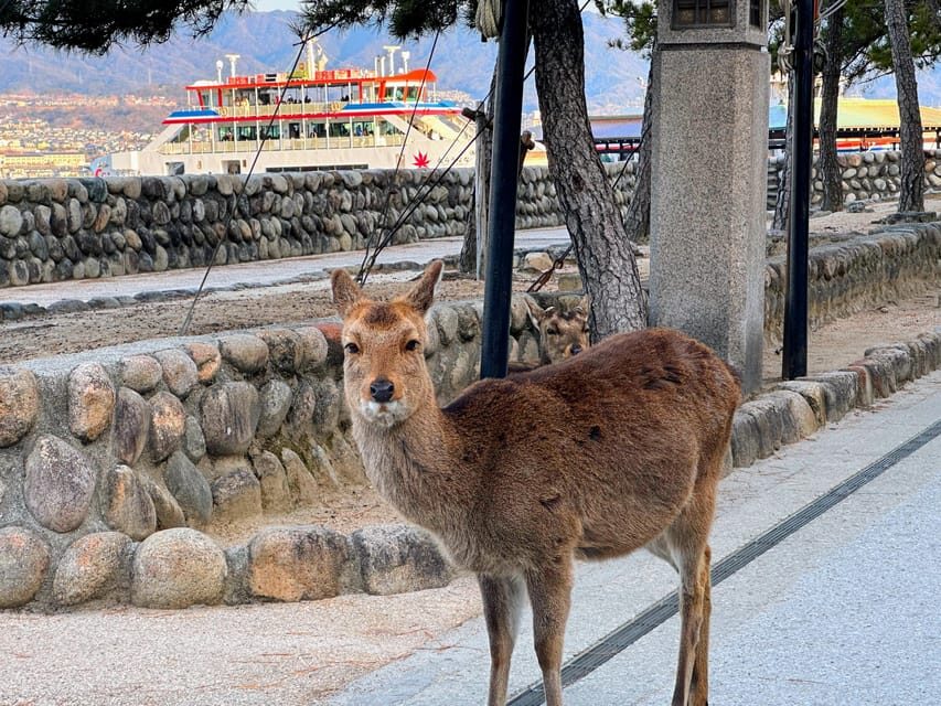 Hiroshima: Hiroshima and Miyajima UNESCO Sites 1-Day Tour - Omotesando Street free time: snacks, souvenirs, and people-watching