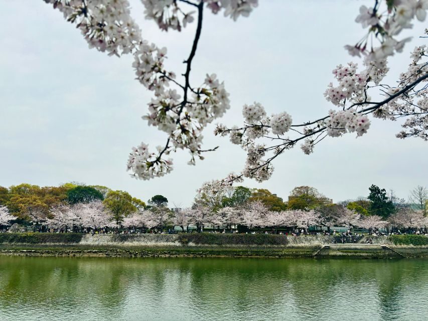 Hiroshima: History of Hiroshima Group Walking Tour - Key highlights you’ll feel