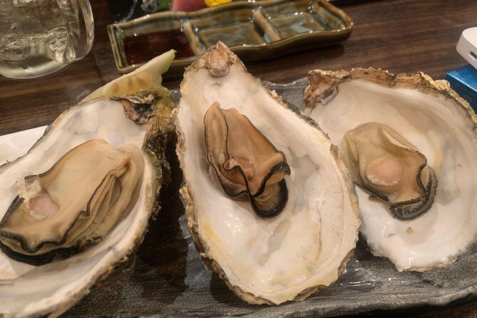 Hiroshima Izakaya Food and Drink Night Tour - What to Expect From Each Portion of the Evening