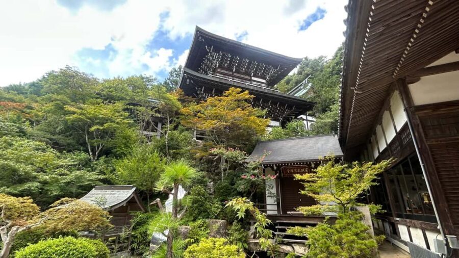 Hiroshima & Miyajima 6.5h Guided Tour – Dome, Park & Shrine - Peace Memorial Park: Monuments You Walk Through, Not Past
