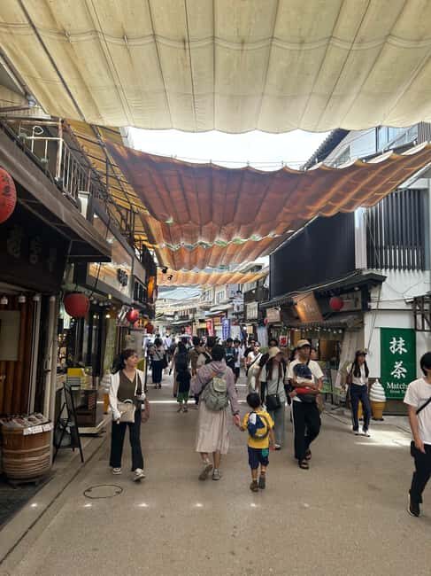 Hiroshima & Miyajima 6.5h Guided Tour – Dome, Park & Shrine - Pacing and Group Size: Why Small Feels Better Here