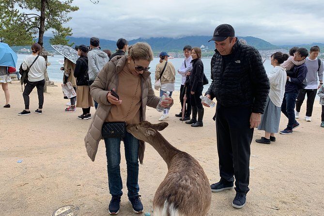 Hiroshima / Miyajima Full-day Private Tour with Government Licensed Guide - Price and Value: What $202.29 Per Person Really Covers