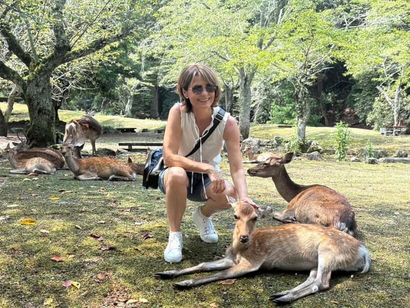 Hiroshima: Miyajima Island Half-Day Tour with Guide - Omotesando shopping street: snacks, souvenirs, and deer etiquette
