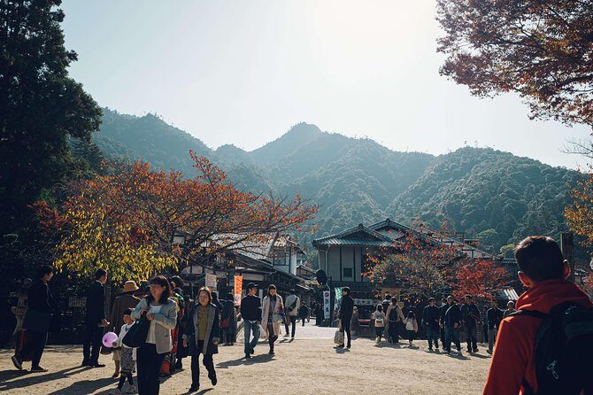 Hiroshima Private Customizable Full Day Tour - What your English guide adds (and who you might get)