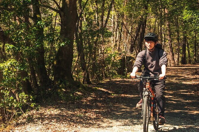 Hiroshima Private Walking Tour with a Local - The “mobility and pacing” factor matters more than you think