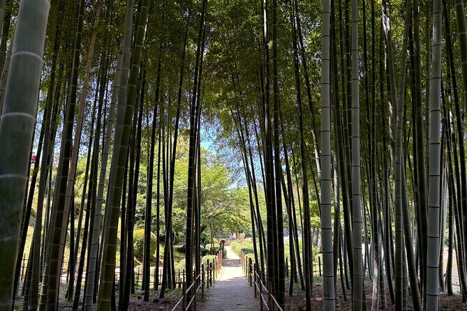 Hiroshima’s Heart: A 4-Hour Private Storytelling Walk - Hiroshima Castle Grounds: Life Before 1945, and What Replaced It