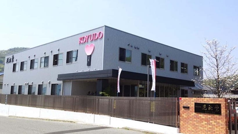 Kumano Brush Factory Tour and Brush-Making Experience - Who should book this Kumano Brush Factory Tour?