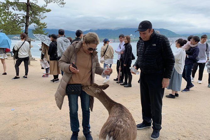 Miyajima Half-day Private Tour with Government Licensed Guide - How Customizable Is This Half Day, Really?