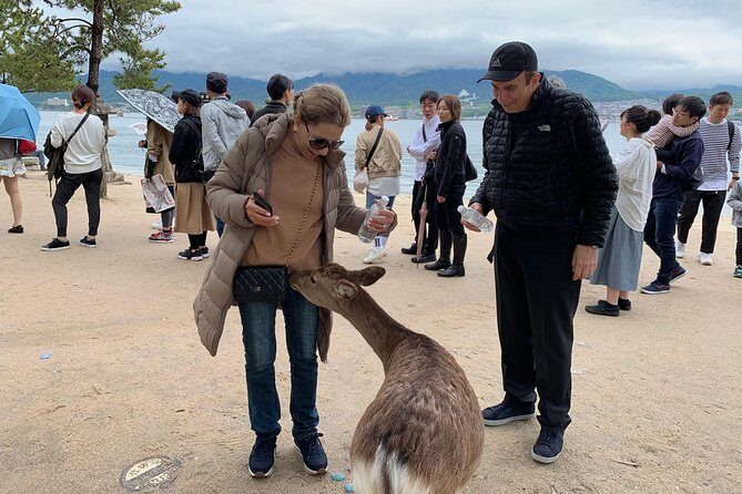 Miyajima Half-day Private Tour with Government Licensed Guide - Getting There: Miyajimaguchi, Ferry Views, and a Walk-First Plan