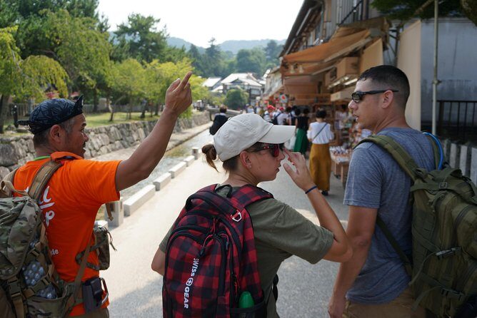 Miyajima Half-day Trip Historical Walking Tour - Momijidani Park and Senjokaku: quick stops that land