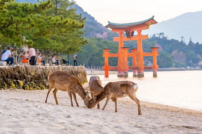 Miyajima Island Day Tour in Sacred Sites and Mount Misen - Daishō-in Temple at the base of Mount Misen: where the mountain story starts