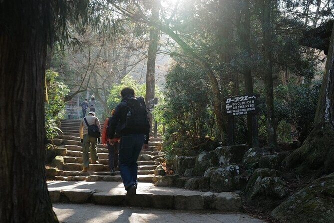 Miyajima Island Tour with Certified Local Guide - Stop 5: Senjokaku and the Five-Storied Pagoda from street-level angles