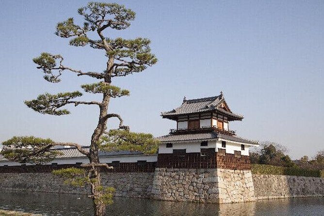 Private Sightseeing Walking Tour in Hiroshima with a Guide - Shukkei-en Garden at 3:30 pm: A Controlled Walk Through Calm